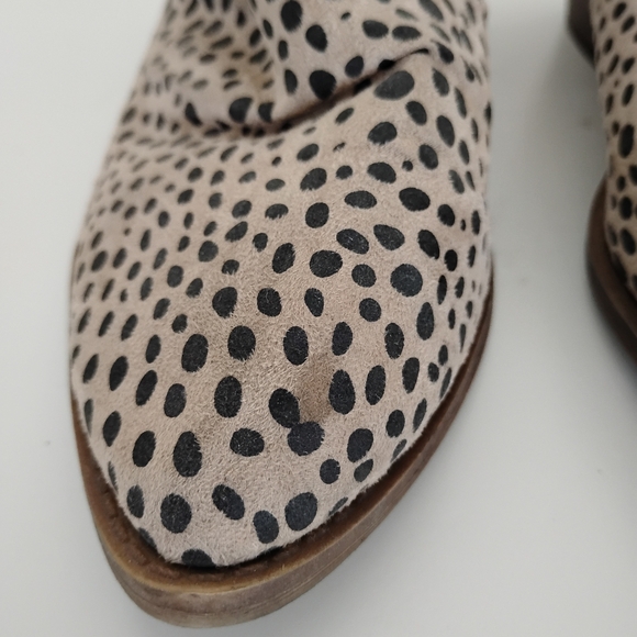 Very Stylish CL by Laundry Black and Cream Ankle Boots - Picture 3 of 8